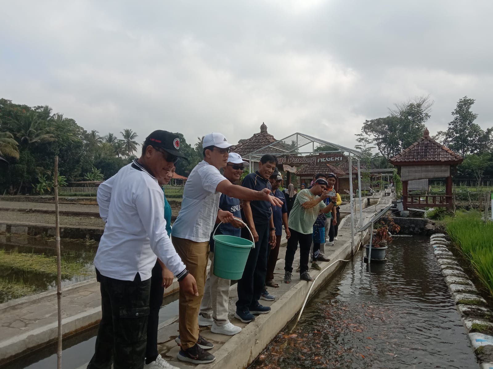 PERTANIAN: Wakil Bupati Sleman Danang Maharsa SE (dua dari kiri) menaburkan pakan di kolam mina padi Samberembe, Candibinangun, Pakem, Minggu (28/7/2024).