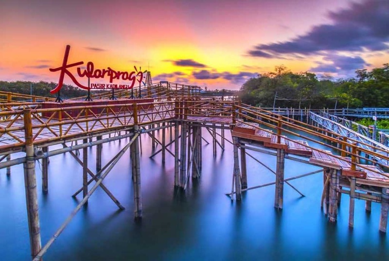 Keindahan Hutan Mangrove di Kulon Progo yang dijadikan destinasi wisata.