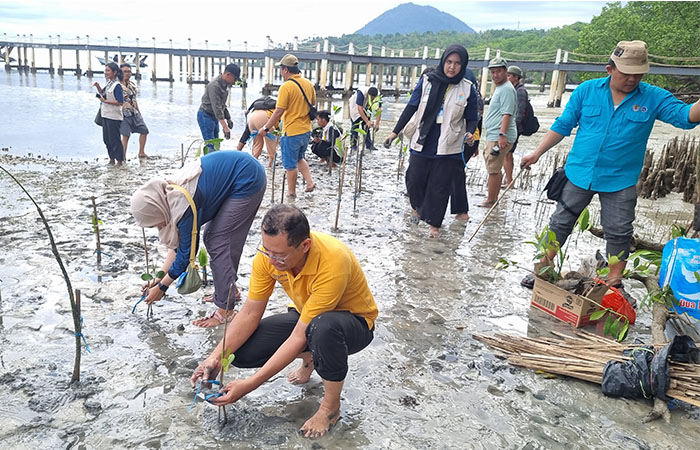 Tim mahasiswa KKN PPM UGM saat melakukan penanaman mangrove dan perilisan tukik di Bunaken, Manado, Sulawesi Utara.
