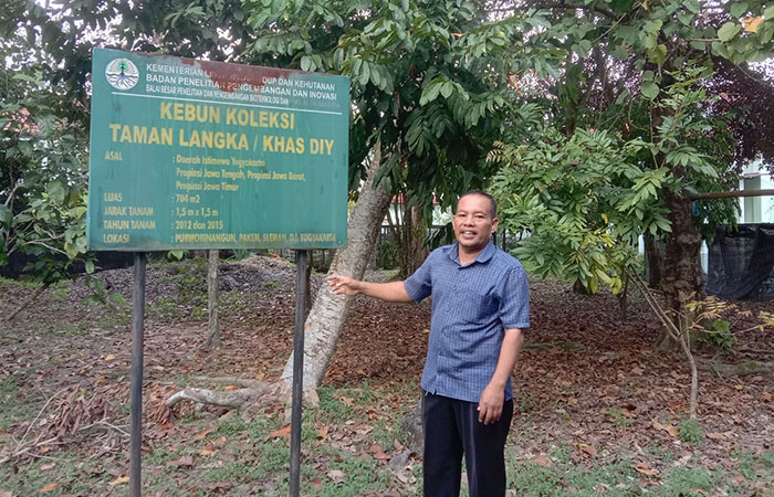 TANAMAN LANGKA: Pengendali Ekosistem Hutan Balai Besar Pengujian Standar Instrumen Kehutanan (BBPSIK) Surip.