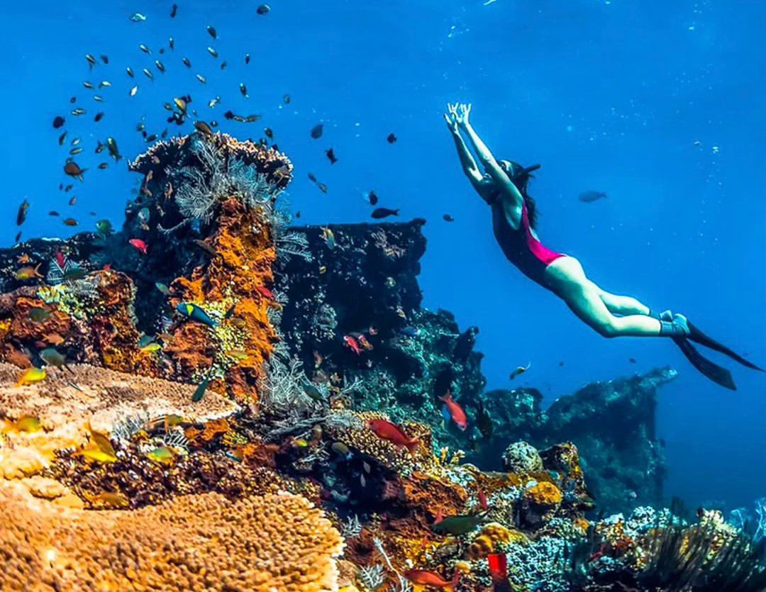 Pemandangan Bawah Laut yang Memukau di Amed Bali.   (Instagram/wonderfulindonesia)