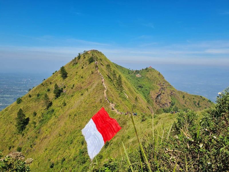 GAGAH: Sejumlah warga hingga pendaki turut berpartisipasi untuk membentangkan bendera merah putih raksasa berukuran 79 x 45 meter di puncak Gunung Andong, Sabtu (17/8/2024).