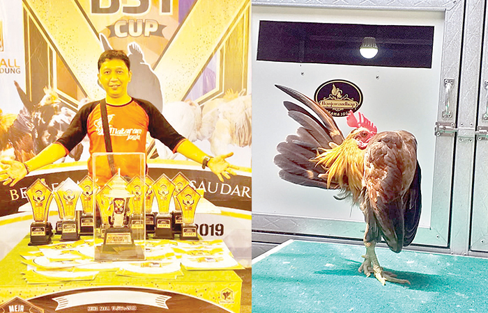 Didit Adiribowo bersama dengan ayam-ayam serama peliharaannya.DOKUMENTASI PRIBADI DIDIT ADIRIBOWO.