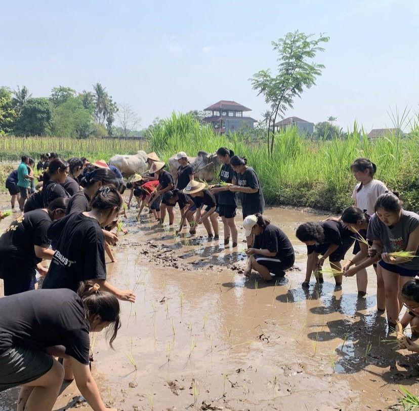 Kegiatan edukasi pertanian di Desa Wisata Brayut