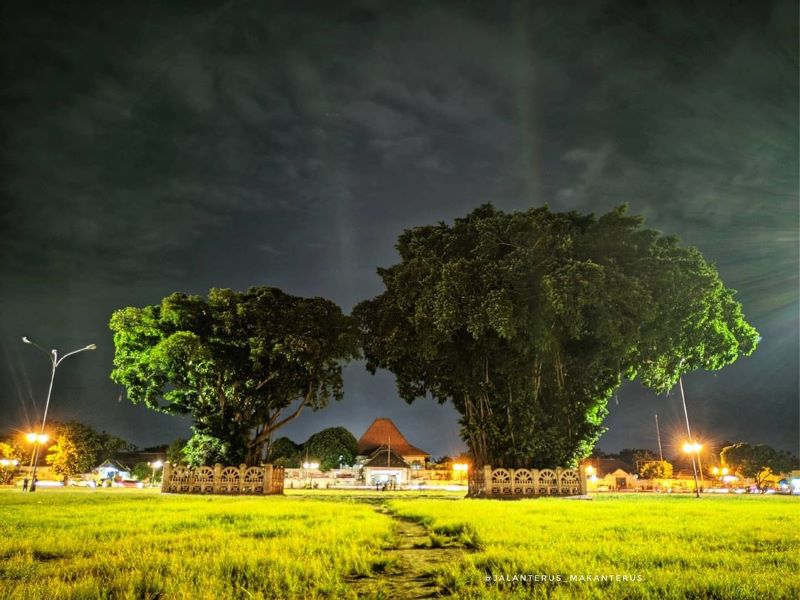 Pohon beringin kembar di Alun-alun Kidul (selatan) yang kental dengan cerita mistis dan tradisi yang melekat kuat di masyarakat tempo dulu.