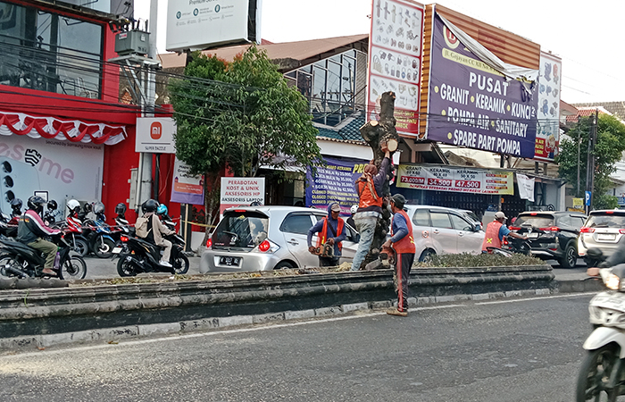 REVITALISASI: Proses penebangan pohon di sepanjang Jalan Affandi Selasa (27/8). DLH Sleman akan menggantinya dengan pohon tabebuya dan asam.DELIMA PURNAMASARI/RADAR JOGJA&nbsp;