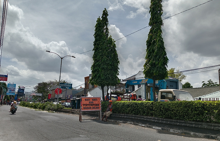 REVITALISASI: Proses penebangan pohon di sepanjang Jalan Affandi Selasa (27/8). DLH Sleman akan menggantinya dengan pohon tabebuya dan asam.DELIMA PURNAMASARI/RADAR JOGJA&nbsp;