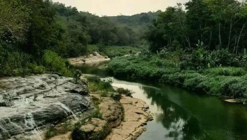 Aliran sungai yang berada di Hutan Wanagama.