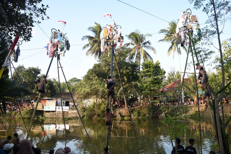 Festival panjat pinang di Desa Aglik, Grabag, Purworejo. Rutin digelar untuk peringati HUT RI.