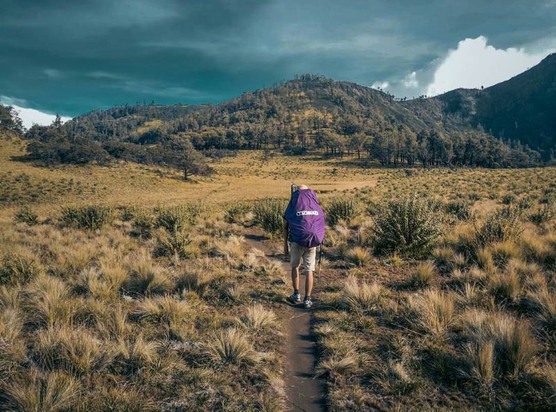 Panorama jalur pendakian Gunung Lawu yang penuh misteri.