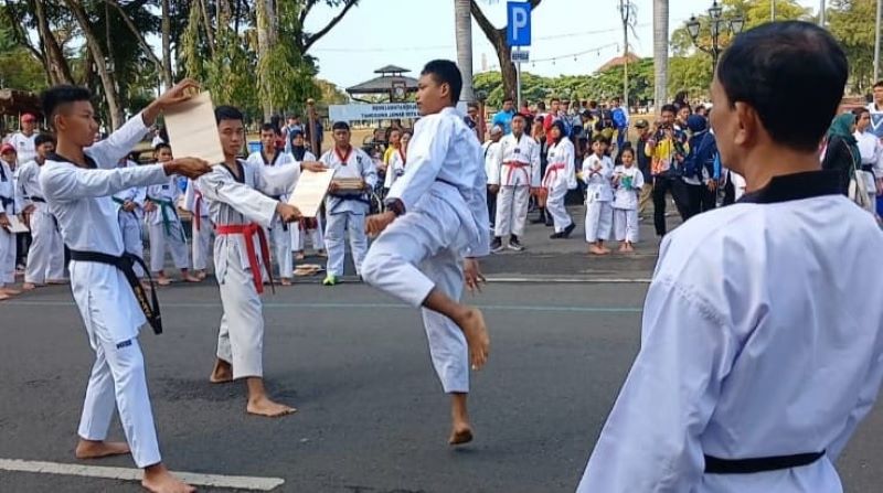 Salah satu atraksi cabor bela diri usai upacara peringatan Haornas ke-41 di Kabupaten Purworejo, Senin (9/9/2024).