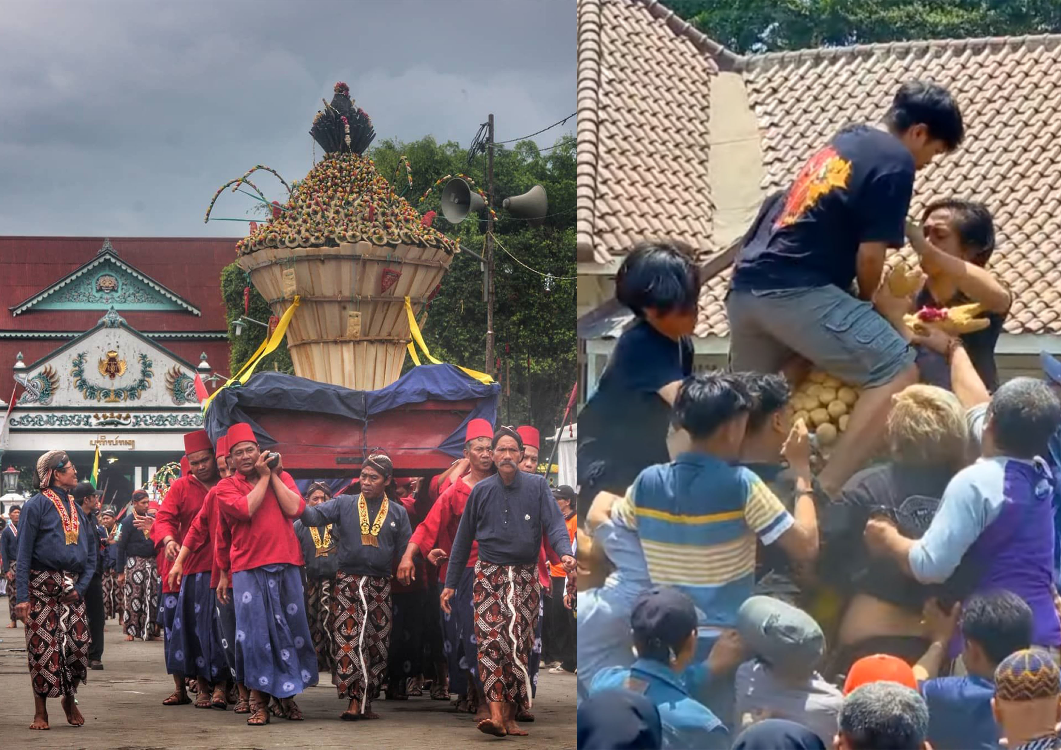 Tradisi grebeg maulud di Keraton Jogja.