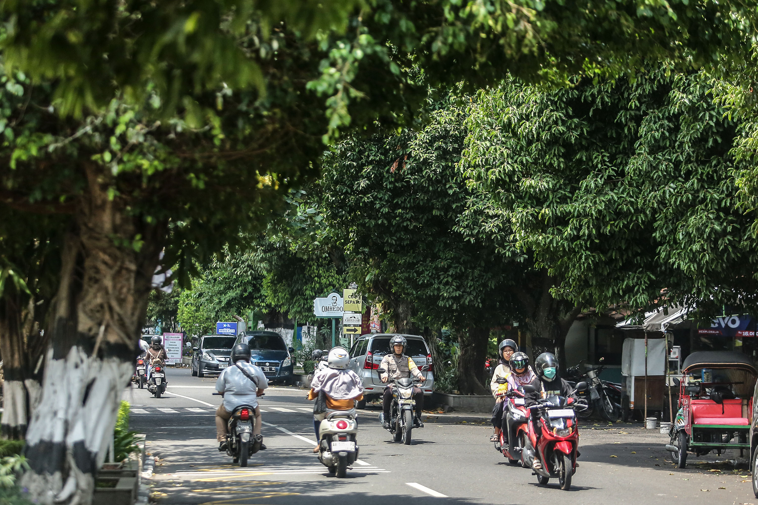 Pengendara motor melintasi deretan pohon perindang di kawasan jalan Gayam, Baciro, Gondokusuman, Jogja, Rabu (11/9). DLH Kota Jogja mengimbau masyarakat agar waspada potensi penurunan kualitas udara saat musim peralihan (Foto: Elang Kharisma Dewangga).