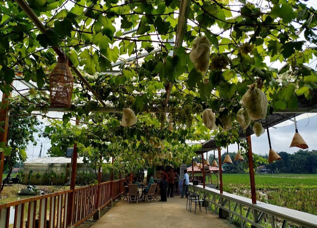 Salah satu potensi wisata yang ada di Desa Wisata Megulung Kidul, Pituruh, Purworejo.