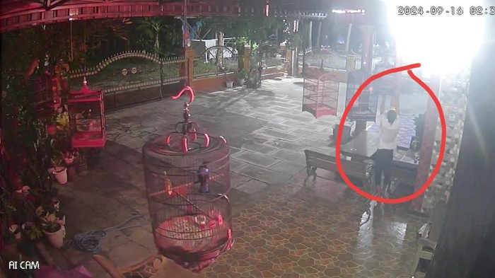 Pencuri burung tertangkap kamera CCTV.