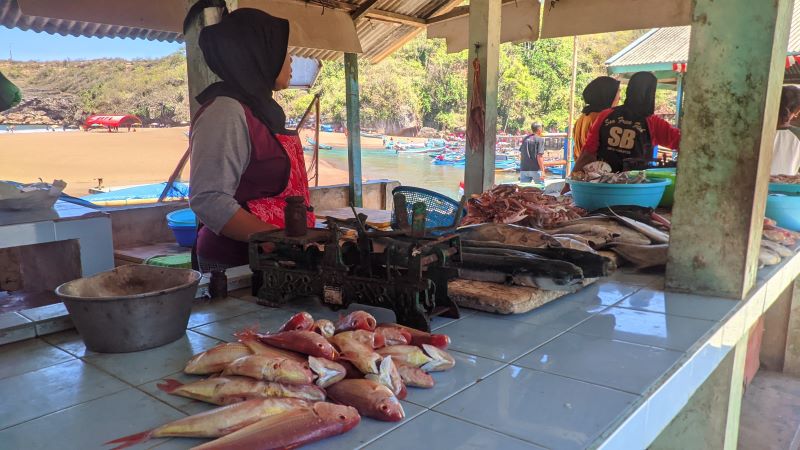 Aktivitas pedagang dan nelayan TPI Pantai Baron, Kalurahan Kemadang, Kapanewon Tanjungsari, Gunungkidul, Jumat (20/9).