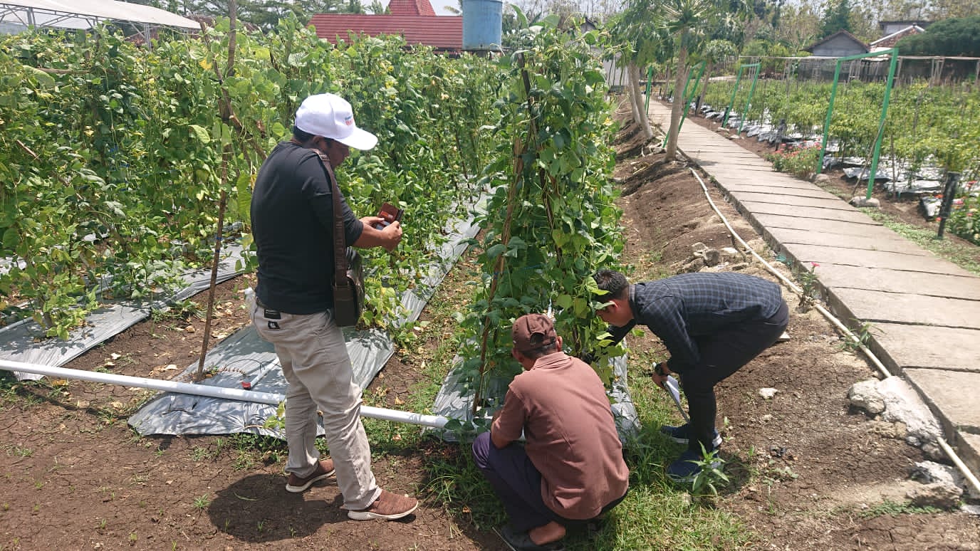 Pesona agrowisata Desa Wisata Bendung, Kapanewon Semin, Gunungkidul.