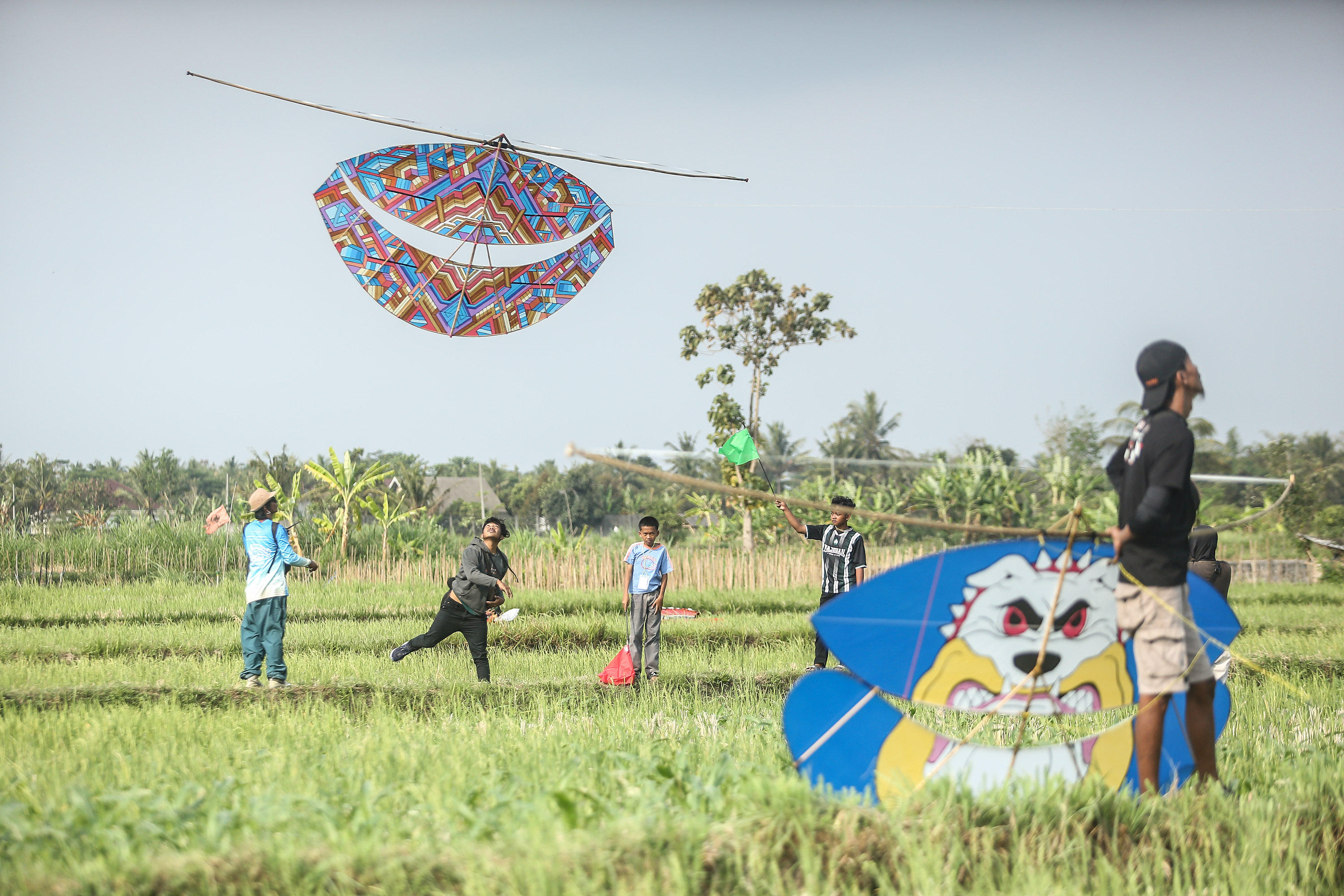 Peserta menerbangkan layang-layang kategori tradisional saat festival layangan Majegan, Pandowoharjo, Sleman, Sabtu (21/9). Festival layangan yang sudah dua kali digelar itu bertujuan untuk mewadahi minat para pegiat layangan yang ada di DIJ dan sekitarny
