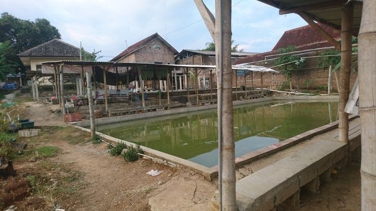 Kolam Pemancingan.