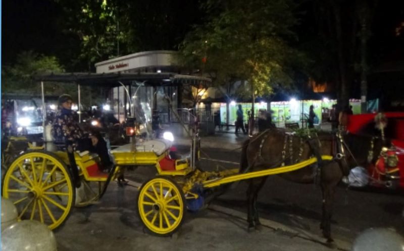Andong Malioboro di malam hari.