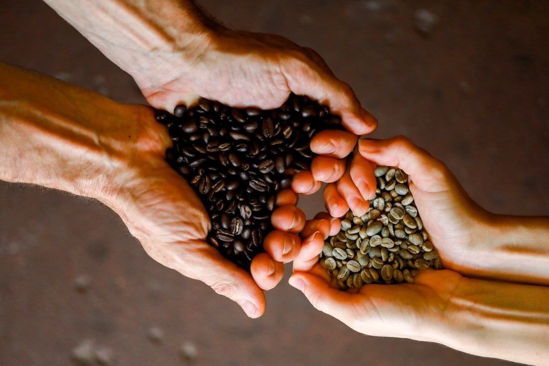Biji Kopi https://pin.it/6njOykXUT
