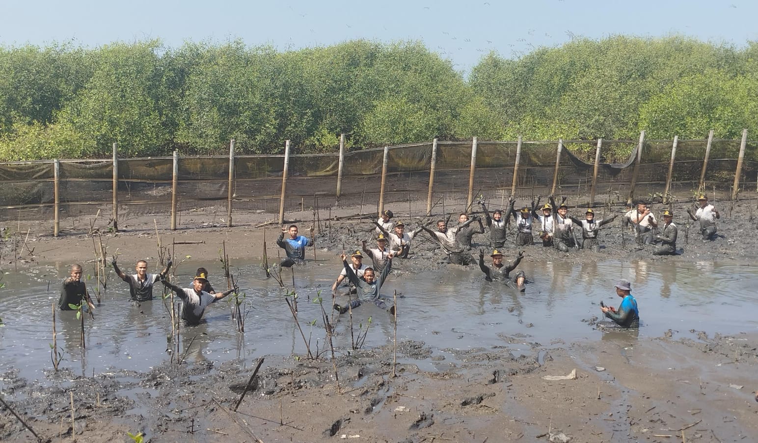 CEGAH ABRASI - Tim konservasi tengah melakukan penanaman mangrove di Laguna Pengklik, Srigading pada Kamis (26/9/2024)  (GUNAWAN/Radar Jogja)