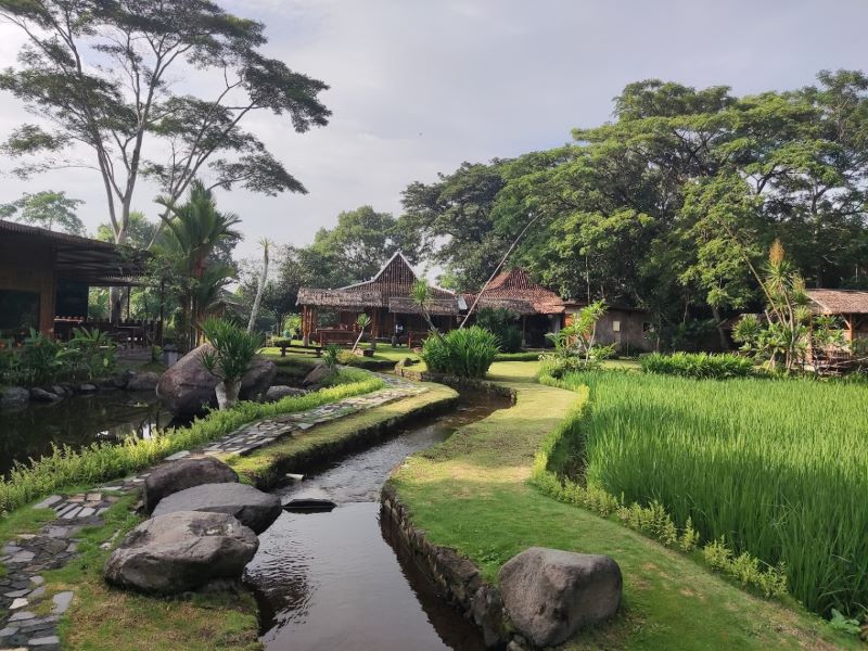 Watoe Gadjah, tempat di mana cita rasa tradisional berpadu harmonis dengan keindahan pedesaan.