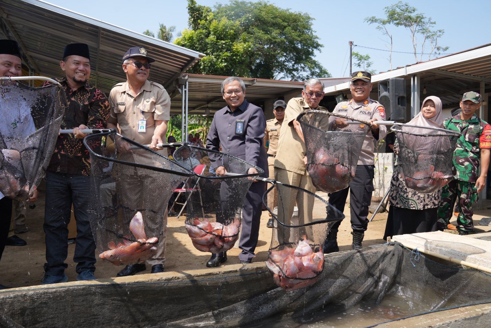 SIBUDIDIKUCIR: Proses panen ikan di Kelompok Mina Makmur Jaya daerah Minggir  yang menggunakan kincir air.