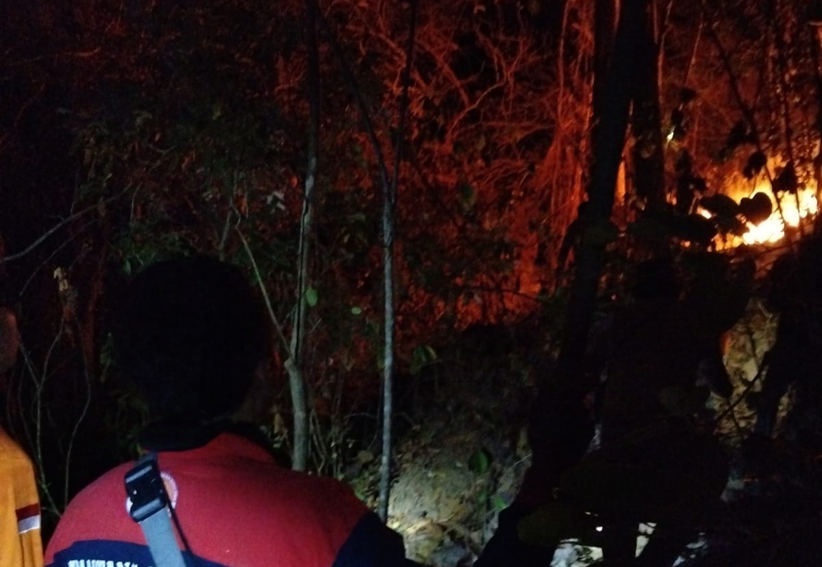Peristiwa kebakaran lahan pegunungan di Desa Tlogokotes, Bagelen, Purworejo pada Minggu (29/9).