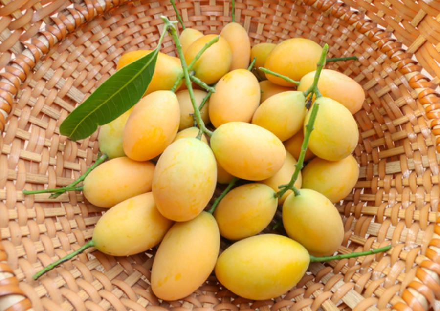 Buah gandaria
