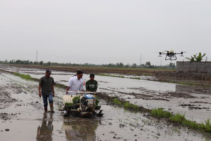 Wamentan Sudaryono dorong gerakan Percepatan Tanam di Desa Jatirogo, Kecamatan Bonang, Kabupaten Demak, Jawa Tengah pada Kamis (3/10)