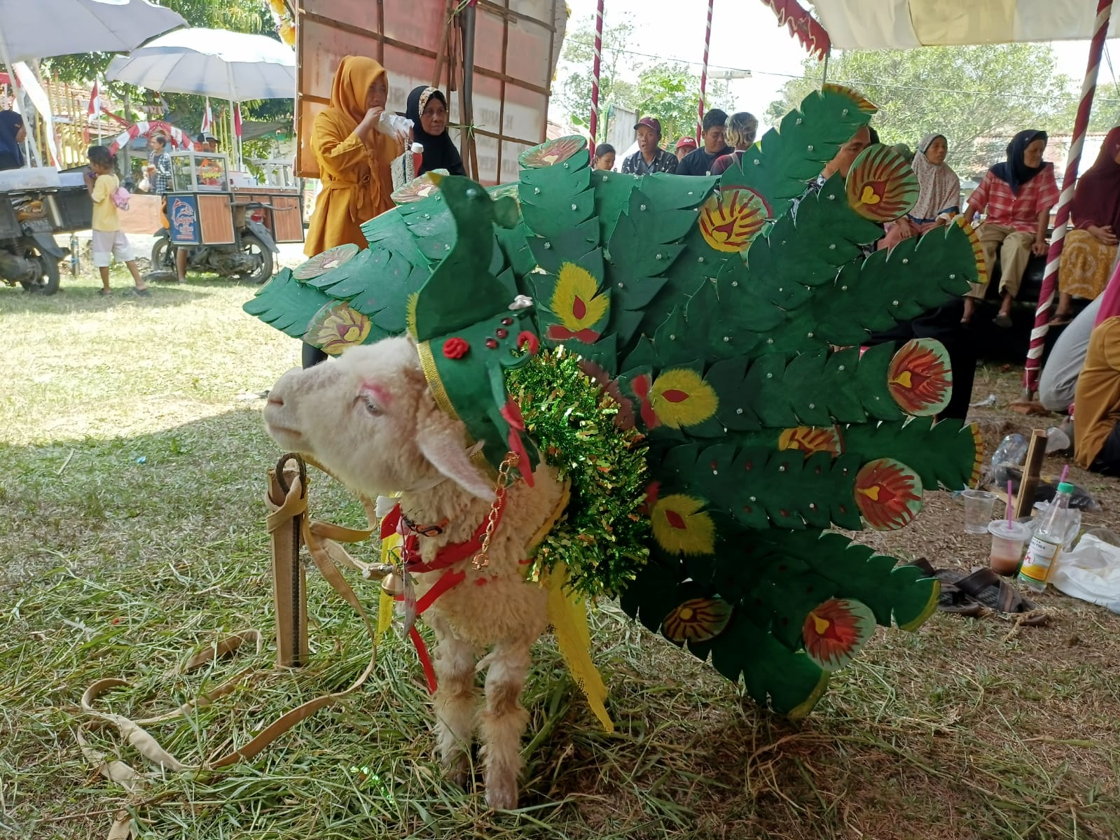 MERIAH : Peternak di Desa Jatimulyo, Kecamatan Petanahan antusias mengikuti kontes kambing dan domba yang digelar dalam rangka peringatan hari jadi desa setempat.    &nbsp;