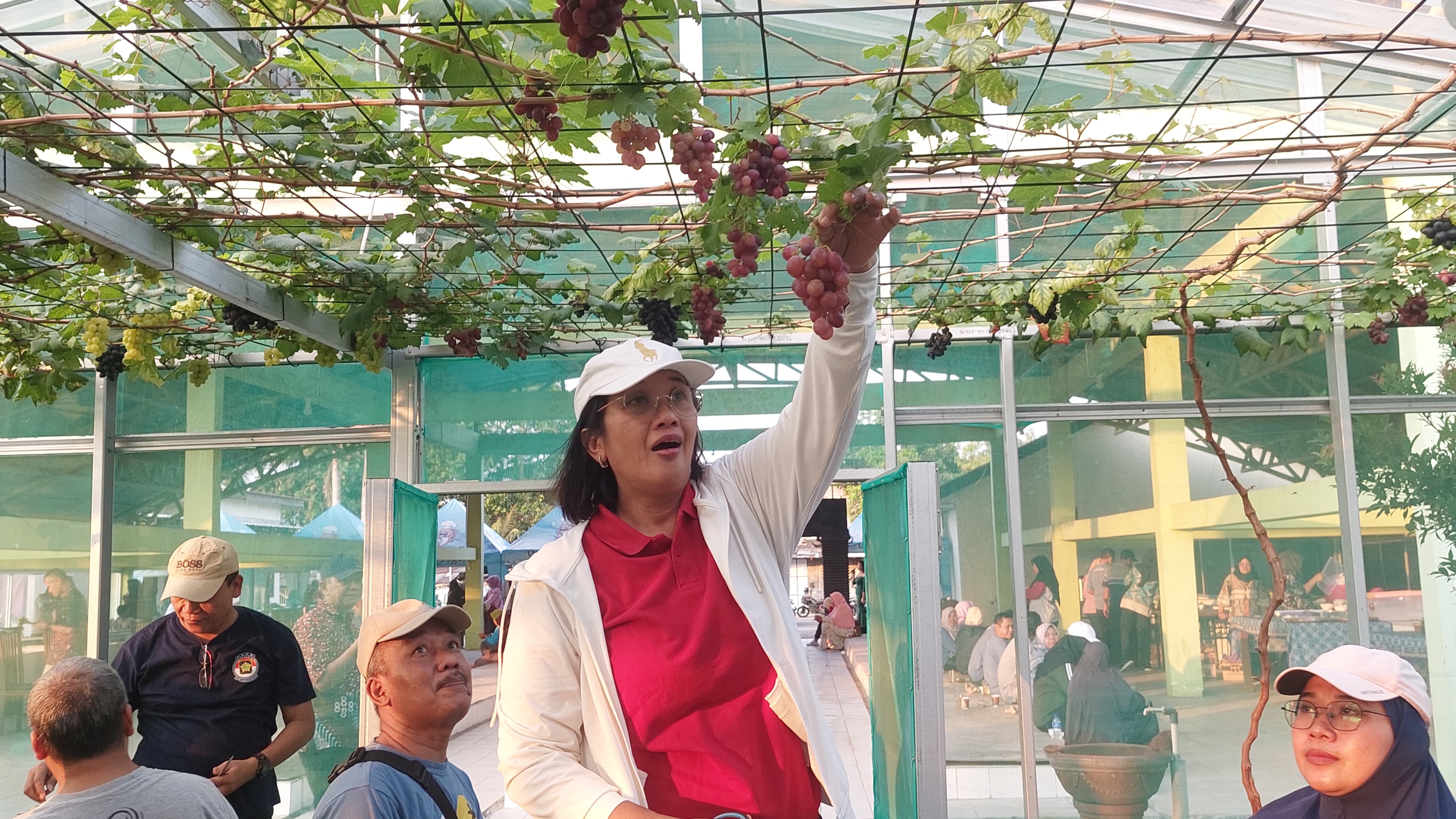 PANEN: Pj Bupati dan Paniradya Pati memanen buah anggur dan memancing.