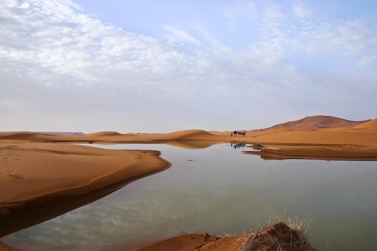 Gurun Sahara banjir.
