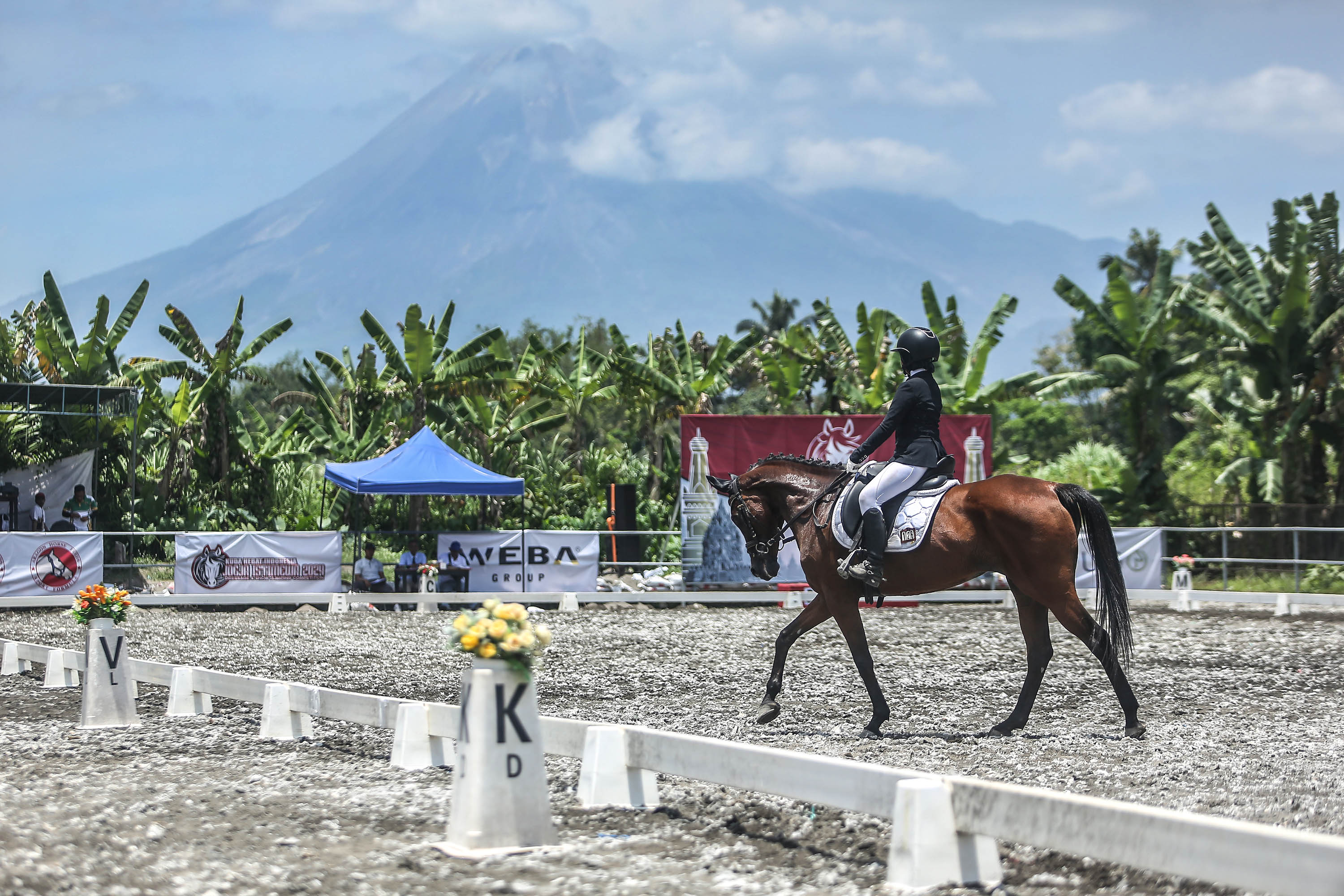 Peserta ketangkasan berkuda asal Jawa Barat menunjukan aksinya saat Turnamen Equestarian, KHI Jogja Istimewa Cup 2024 di KHI Stabel, banguntirto, Turi, Sleman, Rabu (16/10).