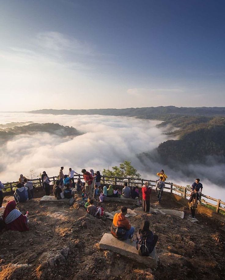 Kabut pagi di Kebun Buah Mangunan menciptakan suasana magis yang sempurna untuk berfoto.