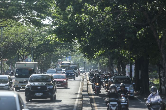 TITIK RAWAN: Kendaraan melintas di bawah deretan pohon perindang di kawasan ring road selatan, Sewon, Bantul Rabu (23/10/2024). BPBD Bantul mengimbau masyarakat untuk waspada pohon tumbang