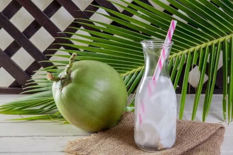 (Ilustrasi gambar Air Kelapa dari pinterest)