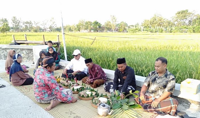 BENTUK SYUKUR: Sejumlah petani melakukan tradisi wiwitan sebelum masa panen.