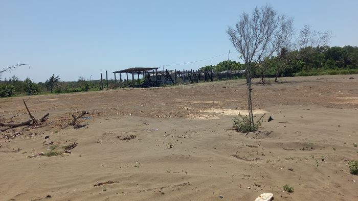 INI LHO: Bekas lahan TPSS Gadingsari digadang-gadang akan dijadikan agrowisata.