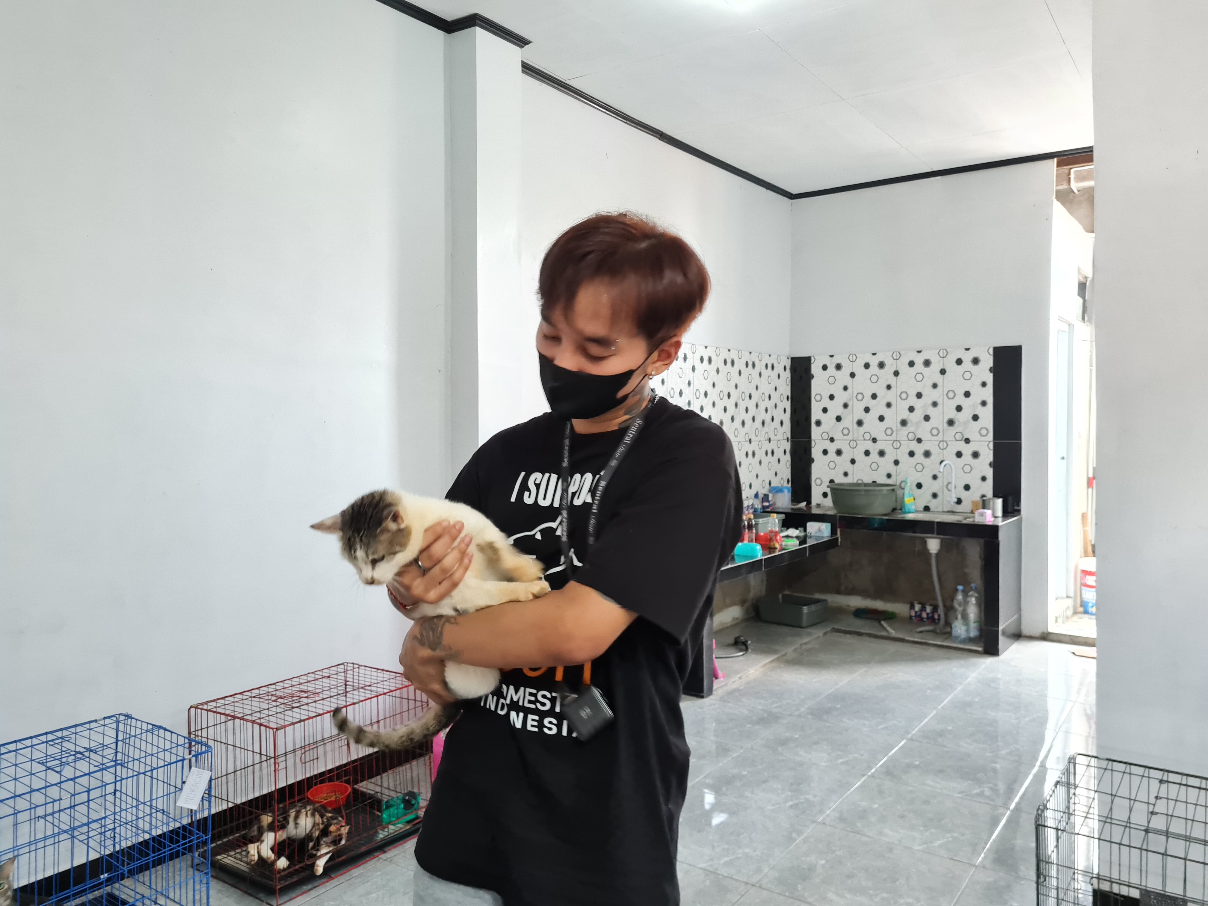 &nbsp;  TERAWAT: Belasan kucing yang ditemukan di sebuah warung kecil di Kampung Kluyon, Kramat Utara, Kota Magelang, kini mulai membaik usai mendapat perawatan.  &nbsp;