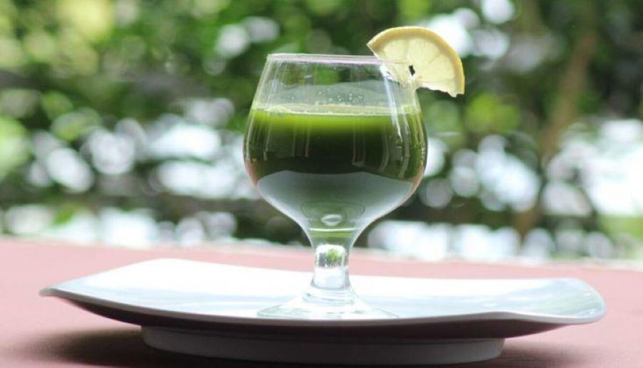 Ilustrasi segelas Jus Healty Pakcoy.