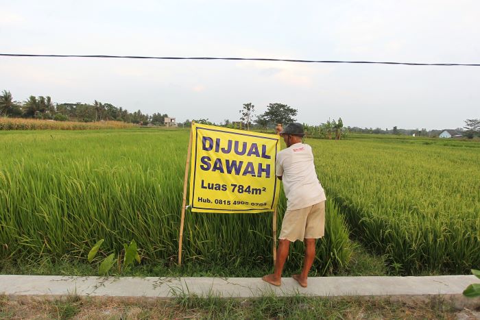 ALIH FUNGSI LAHAN: Buruh tani beraktifitas di lahan sawah yang dijual oleh pemiliknya, di kawasan Kapanewon Seyegan, Sleman Kamis (31/10/2024).