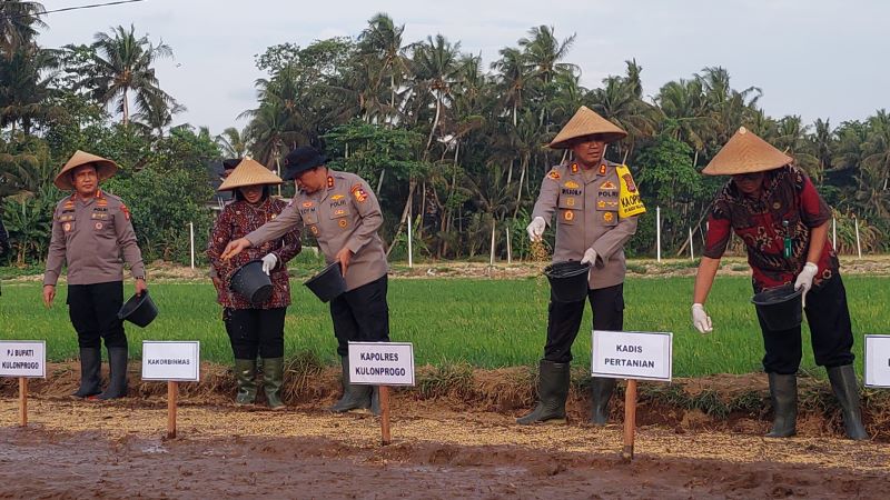 MENABUR: Kakorbinmas Baharkam Polri menyemai padi di Bulak Nglatek.&nbsp;