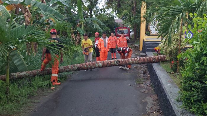 PENANGANAN: Personel BPBD dan Damkar Kulon Progo memotong batang pohon yang menghalangi jalan.