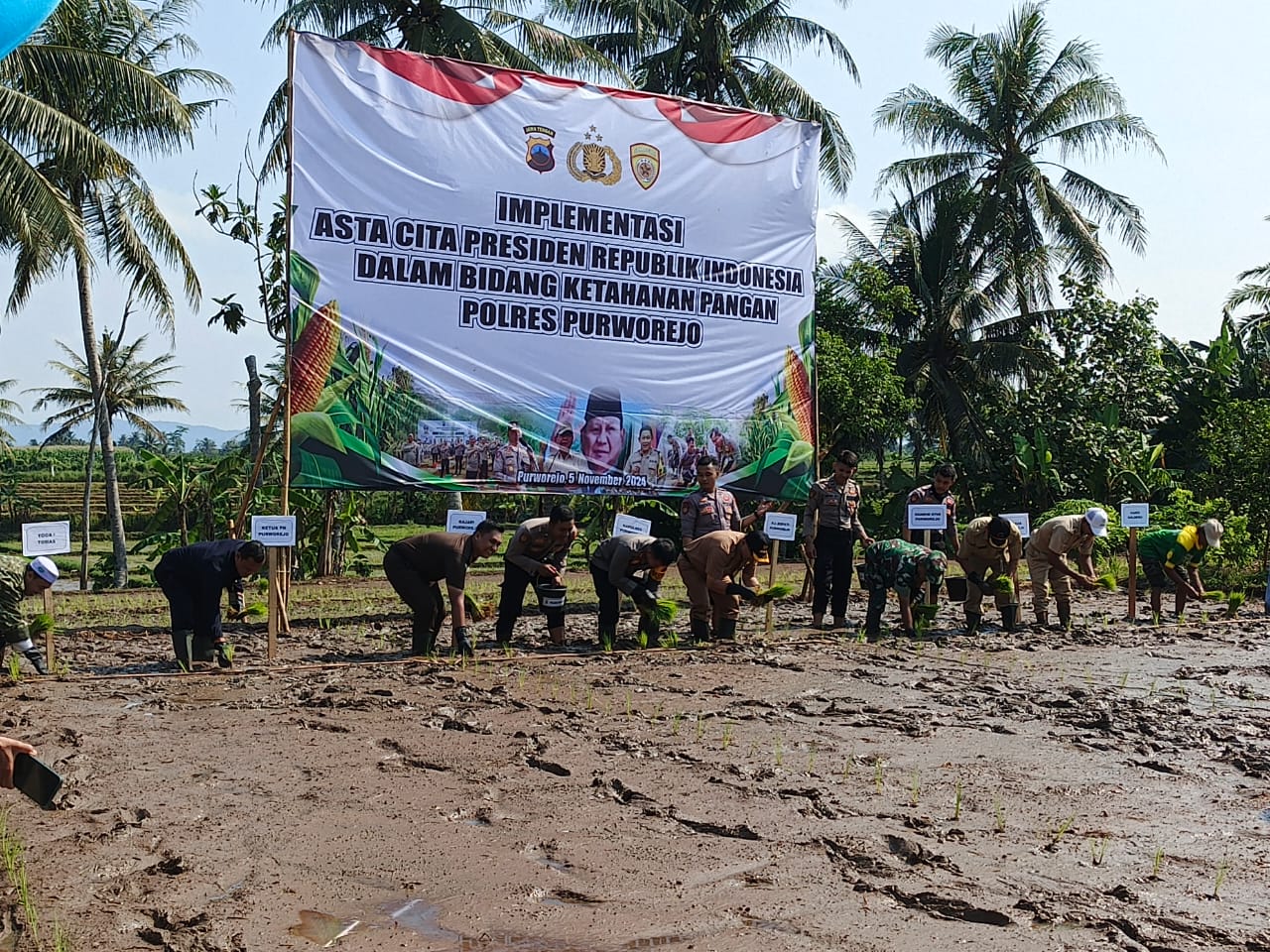 Olah tanah dan tanam padi di Desa Kalimiru, Bayan, Purworejo untuk mendukung Program Asta Cita Presiden Prabowo Subianto, Selasa  (5/11).