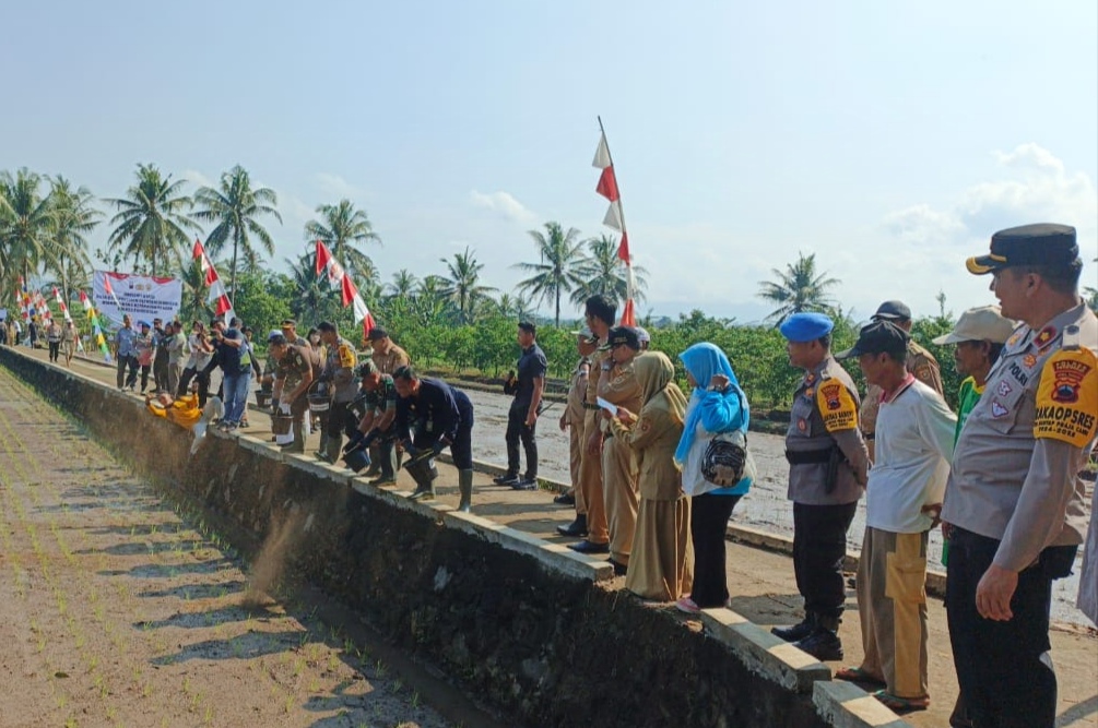 JIHAN&nbsp;ARON VAHERA/RADAR JOGJA Kegiatan olah tanah dan tanam padi di Desa Kalimiru, Bayan, Purworejo untuk mendukung Program Asta Cita Presiden RI pada Selasa (5/11).