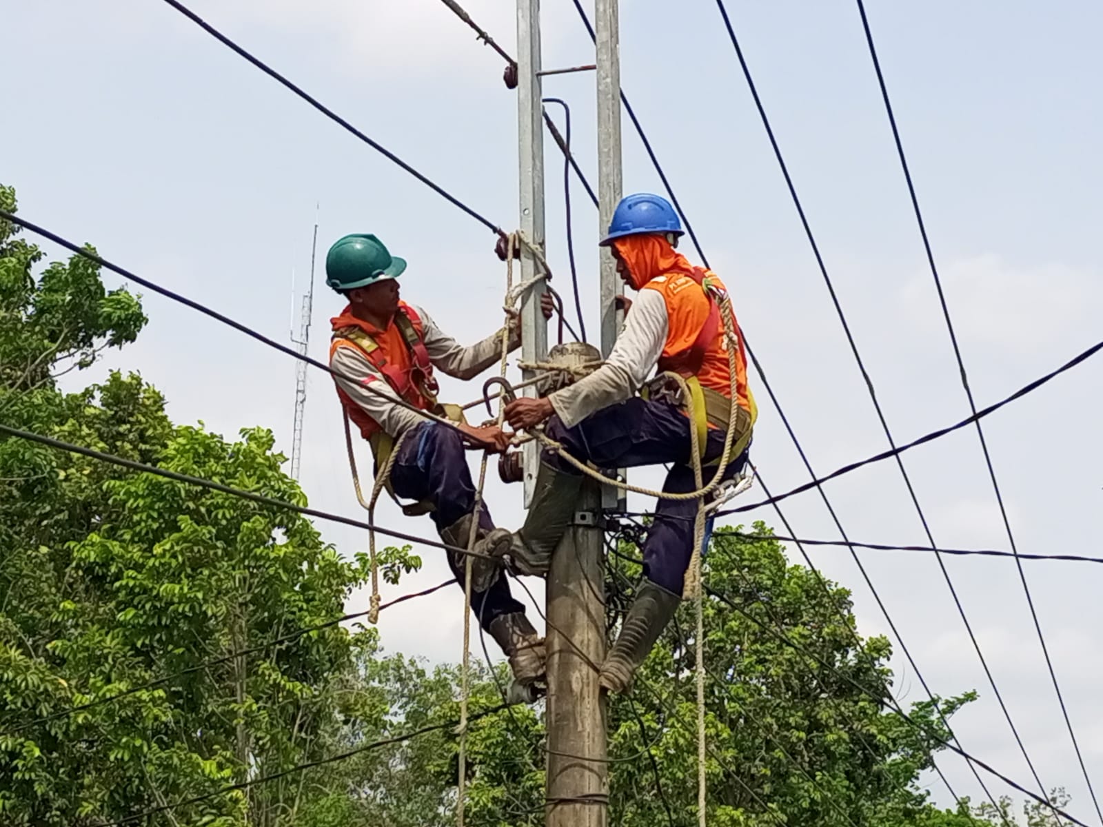 PERBAIKAN : Petugas PLN  sedang melakukan pemeliharaan jaringan listrik dengan menggunakan peralatan lengkap.
