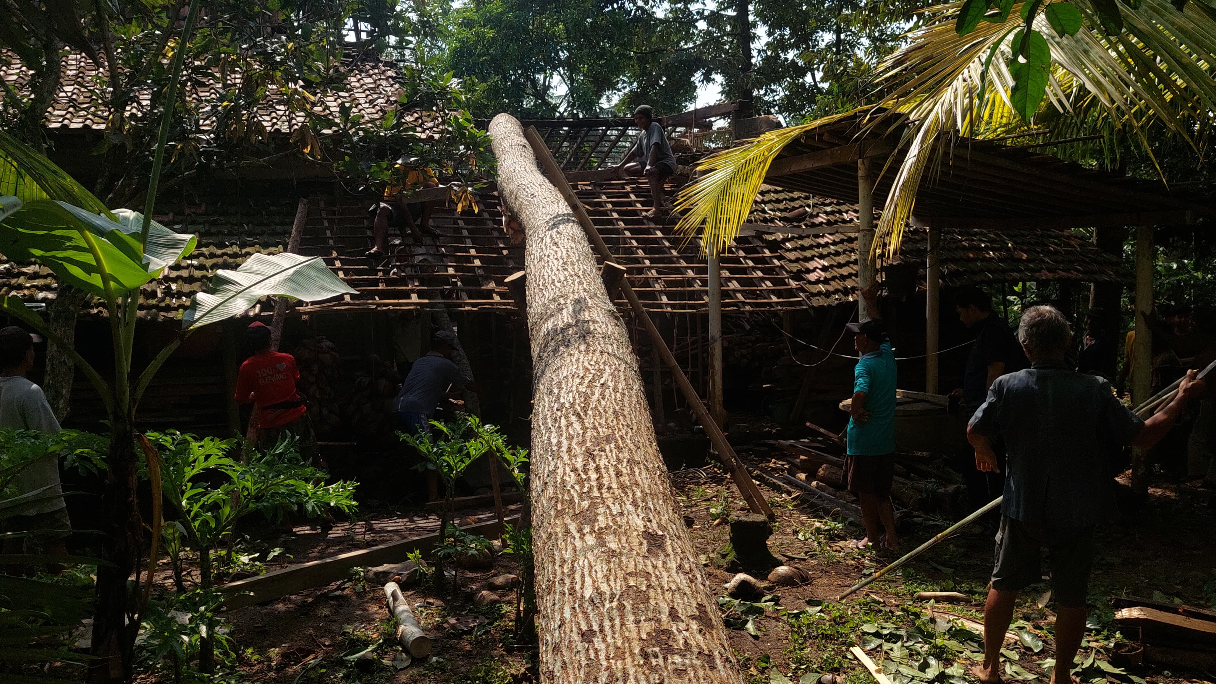 RUSAK: Masyarakat memotong sisa batang yang masih menimpa rumah.