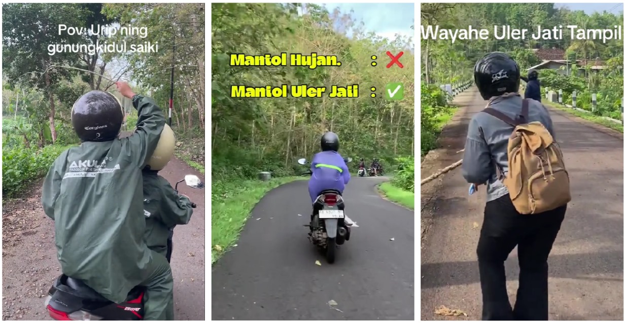 Kompilasi cara masyarakat agar terhindar dari kontak langsung dengan ulat jati.